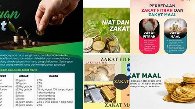 Panduan Lengkap Peruntukan Zakat Mal untuk Berkah Dunia Akhirat