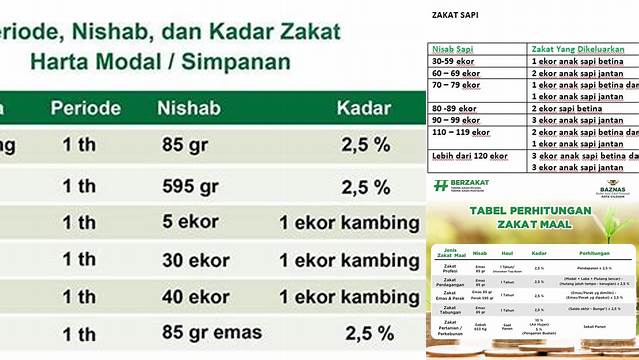 Panduan Rumus Zakat Mal: Cara Hitung dan Hikmahnya