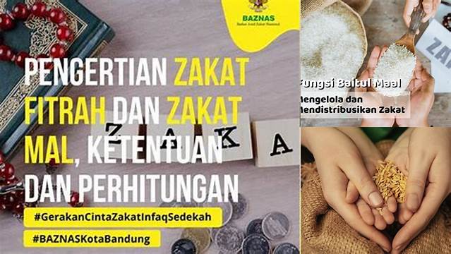 Pahami Peran Penting Zakat Mal dalam Mensucikan Harta