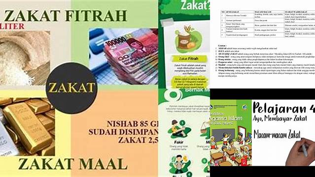 Panduan Zakat: Macam-Macam Zakat dan Cara Menunaikannya