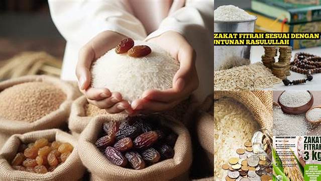 Panduan Tepat: Takaran Beras Zakat Fitrah yang Sesuai