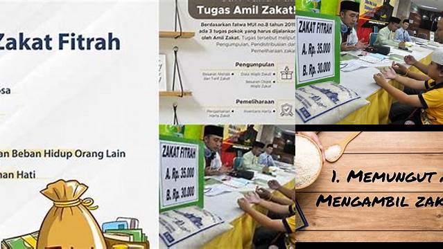 Panduan Lengkap Tugas Amil Zakat