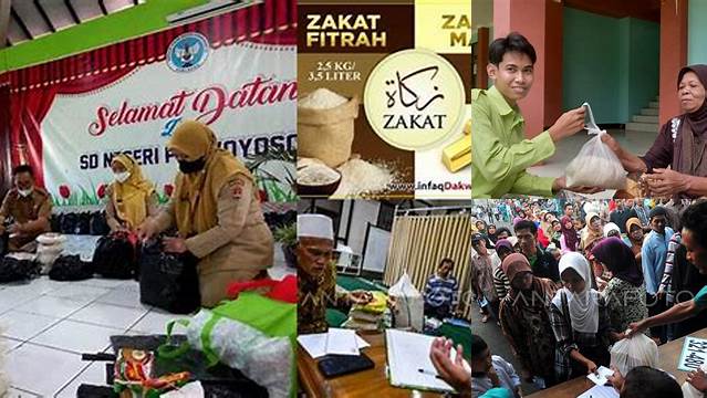 Panduan Lengkap Pembagian Zakat Sesuai Syariat Islam