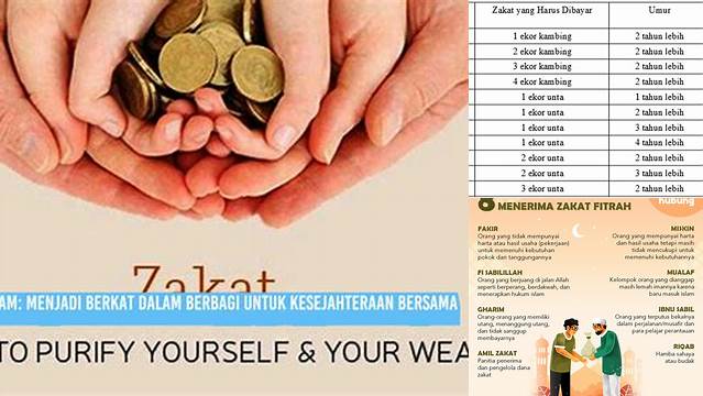 Zakat An Am