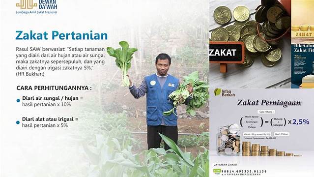 Panduan Lengkap Zakat Berapa Persen