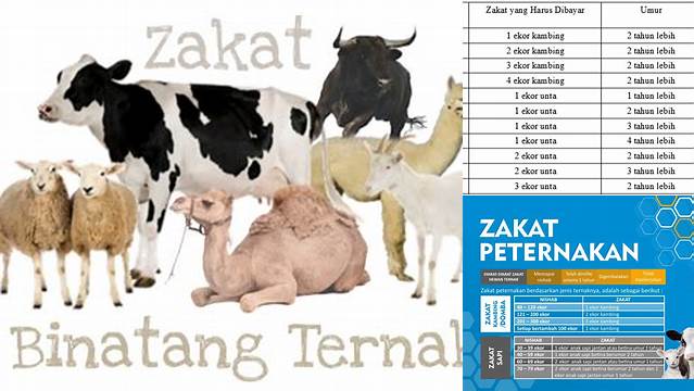 Panduan Zakat Binatang Ternak untuk Kemuliaan Harta Anda