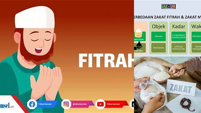 Panduan Lengkap Zakat Fitrah: Pengertian Zakat Fitrah Menurut Bahasa dan Syarat Wajibnya