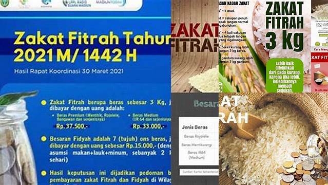 Zakat Fitrah Per Orang