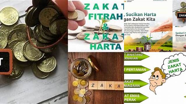 Zakat Harta: Pengertian, Hukum, dan Cara Menunaikannya