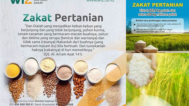 Cara Tepat Tunaikan Zakat Hasil Pertanian sesuai Syariat