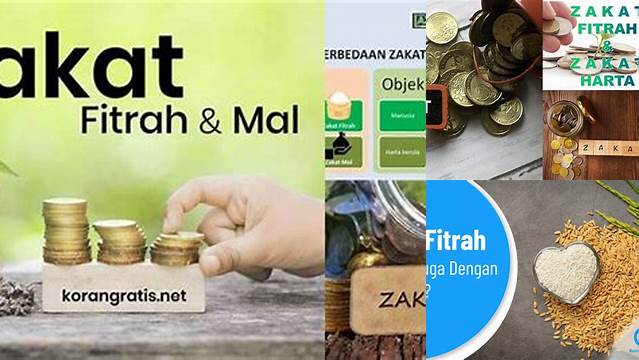 Panduan Lengkap Zakat Mal: Wajib Ditunaikan di Waktu yang Tepat