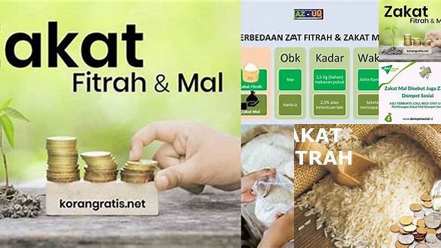 Cara Tepat Tunaikan Zakat Mal untuk Keberkahan Harta