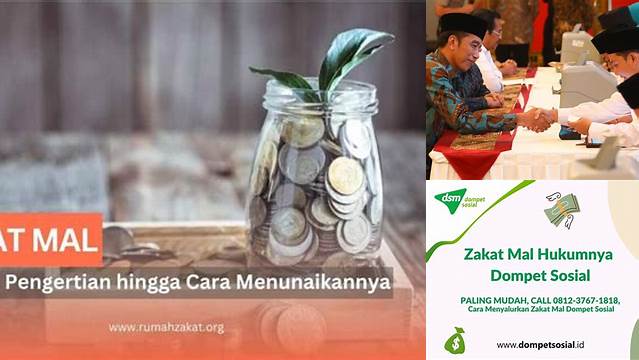 Panduan Lengkap Zakat Mal Hukumnya