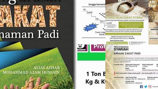Panduan Lengkap Zakat Padi: Cara Hitung dan Bayar Tepat 10 Kuintal
