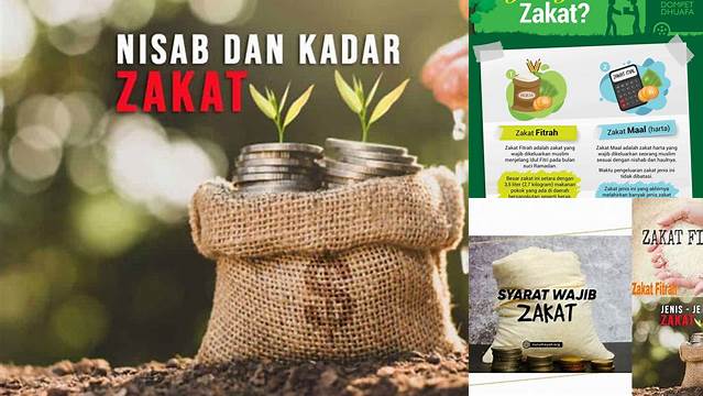 Cara Tepat Menunaikan Zakat yang Wajib Dikeluarkan